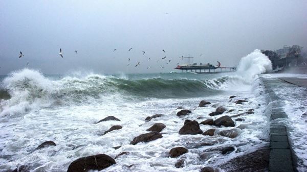 Физики из России выяснили, почему море «мертвеет» перед ураганом
